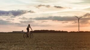 renewable energy seo
