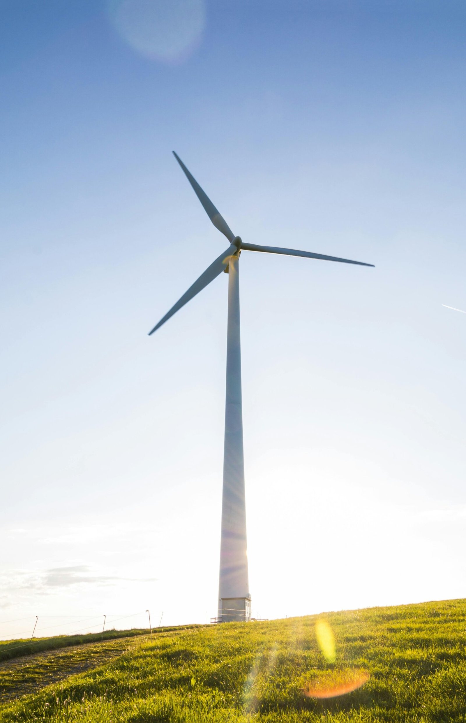 renewable energy seo